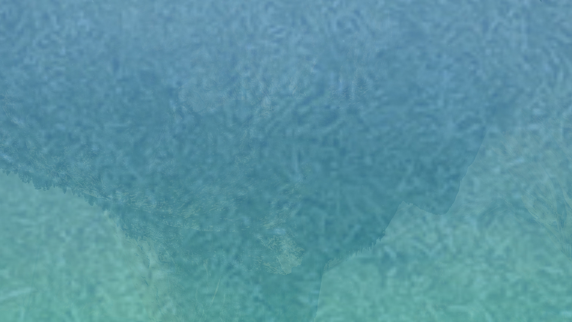 免费短信轰炸机